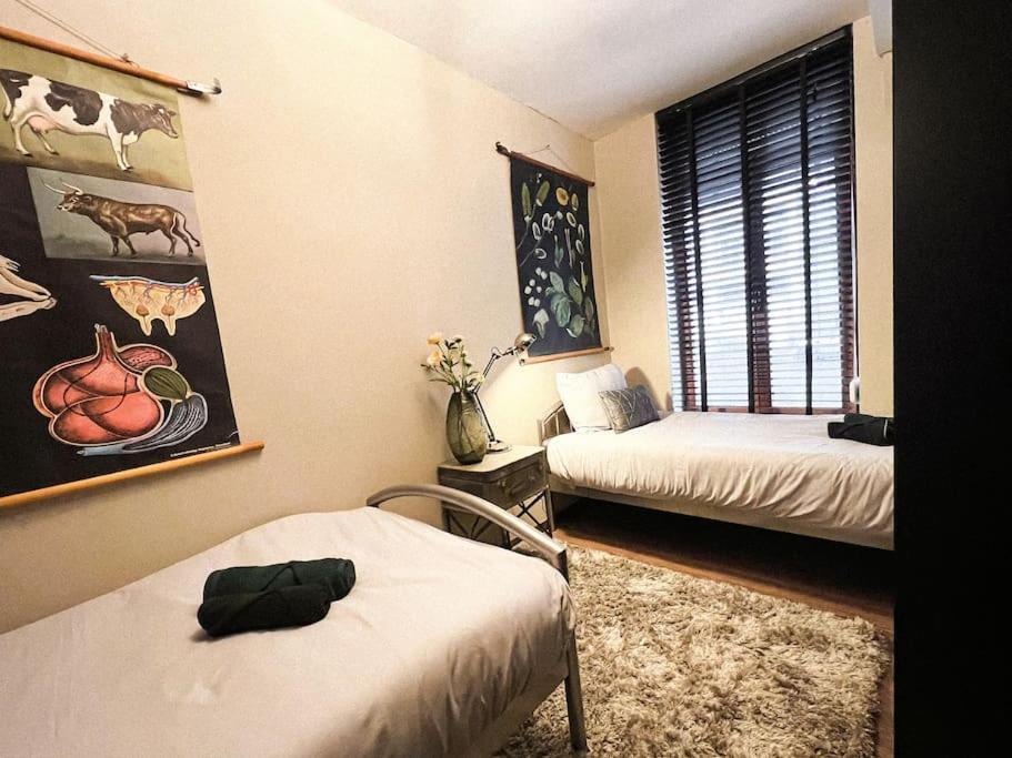 Cannelle Apartamento Verviers Exterior foto